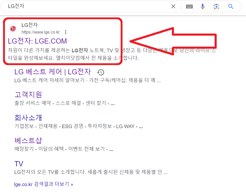LG전자-검색