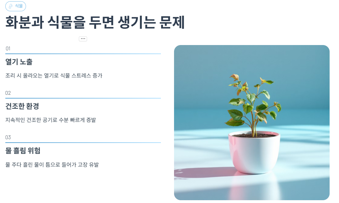 화분과 식물을 전자레인지 위에 두면 생기는 문제
