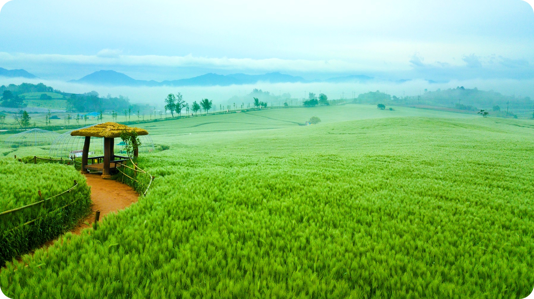 폭싹 속았수다 고창여행 보리나라 학원농장 주차장 대중교통안내