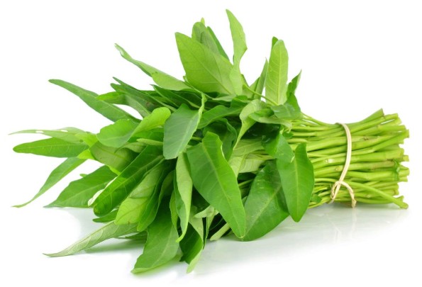 공심채 효능 및 부작용, 먹는법 요리 레시피(볶음, 장아찌, 무침)