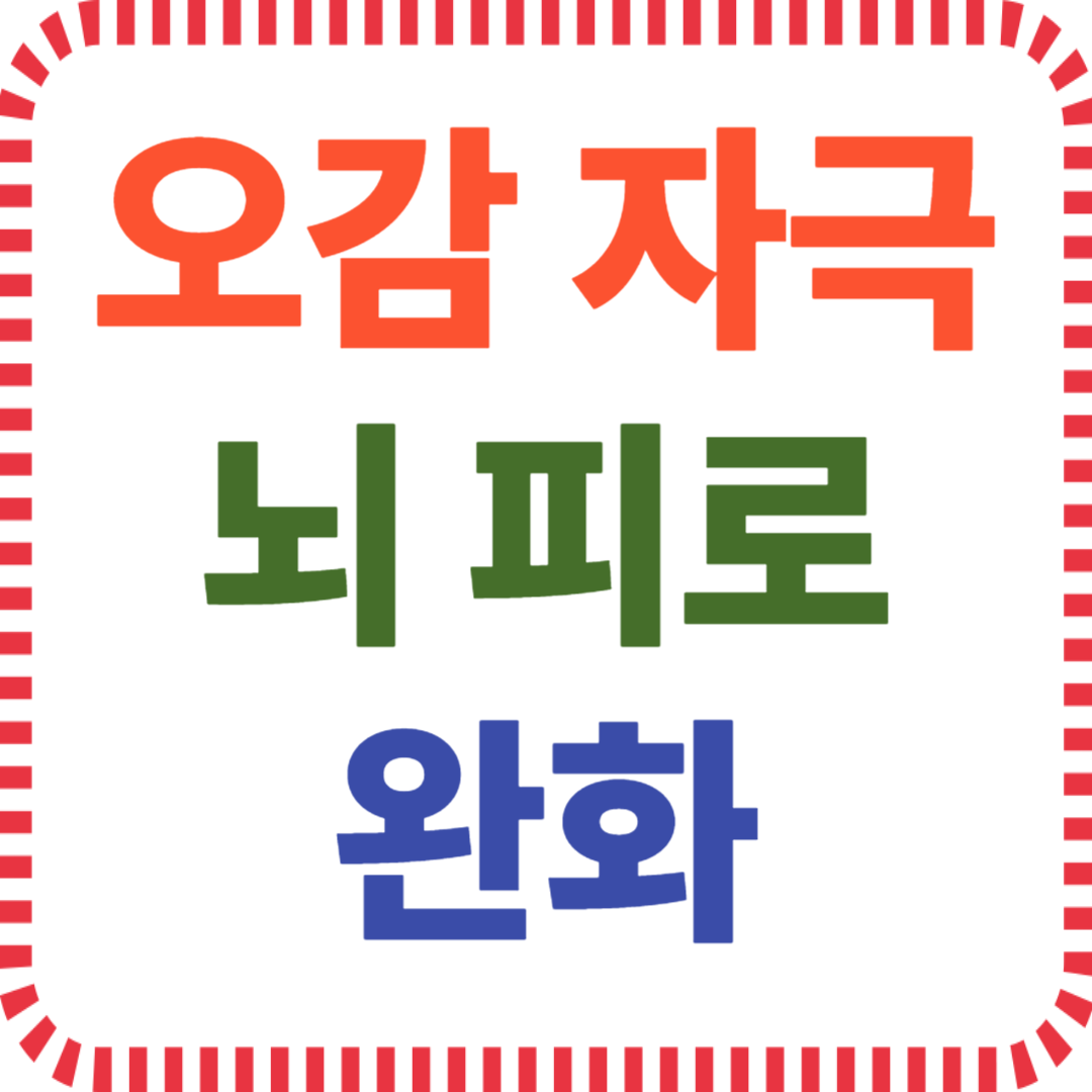 오감 자극으로 뇌 피로 완화