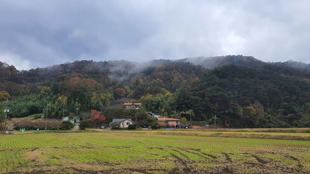 생방송오늘저녁 전남 장성 숭례문을 복원한 목수가 지은 촌집 여행 가볼만한 곳 한옥 스테이 펜션 숙소 추천