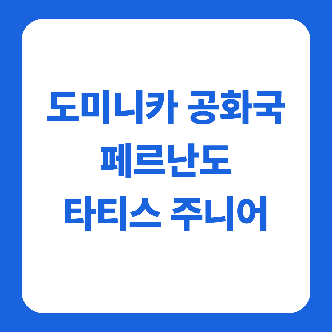 도미니카 공화국 페르난도 타티스 주니어 글 썸네일