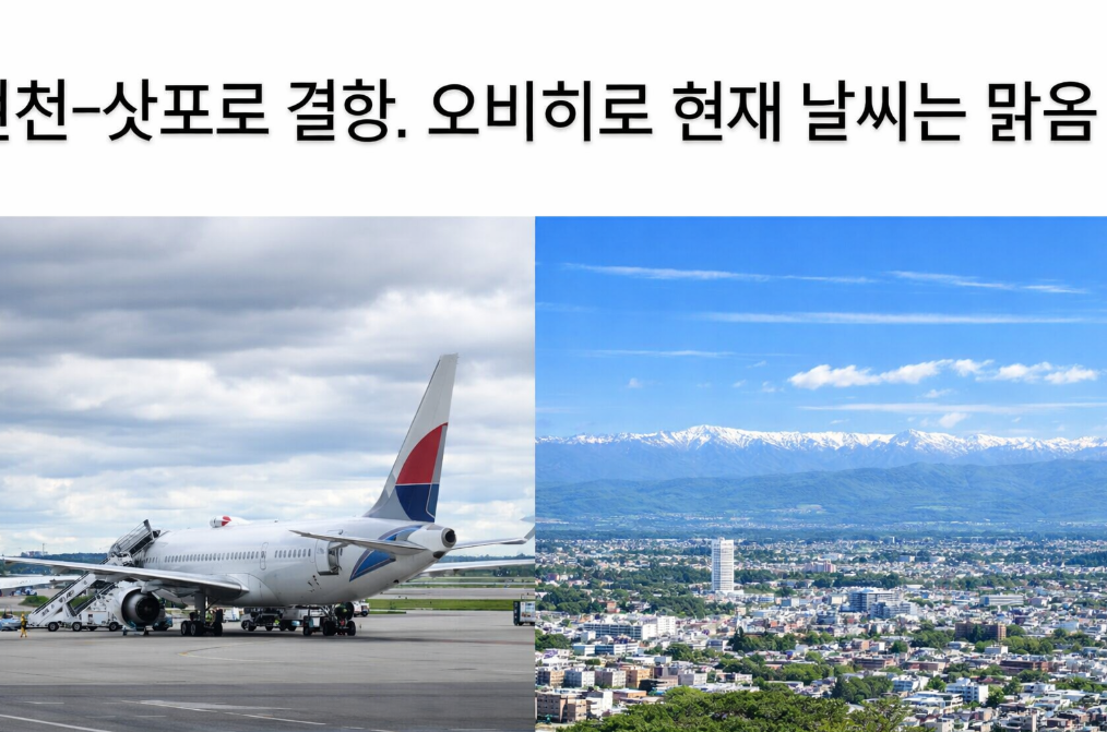 인천-삿포로 결항, 오비히로는 맑음? 홋카이도 날씨 총정리