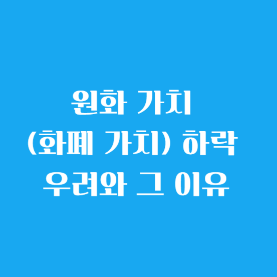 원화 가치 (화폐 가치) 하락 우려와 이유