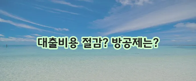 신한은행 주택담보대출의 MCI/MCG 중단과 방공제