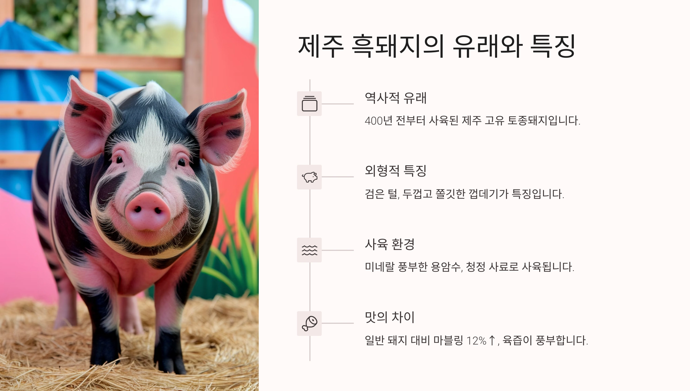 🐷 제주 흑돼지의 유래와 특징