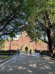 일본 유학, 국립대학 vs 사립대학 차이점과 추천 대학 정리 관련사진