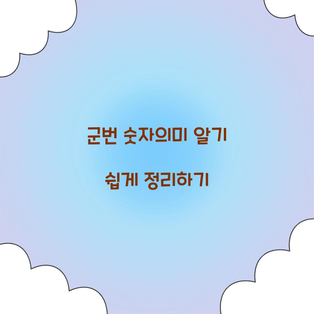 군번 숫자의미