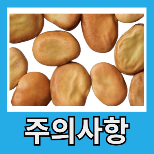 주의사항