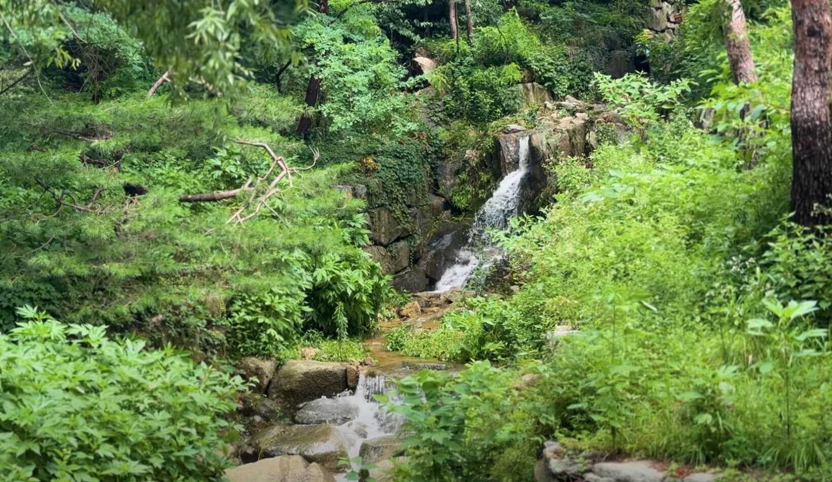 수성동계곡 전경4