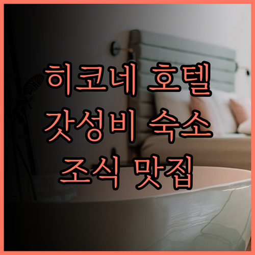 호텔 선루트 히코네.. 교통, 편의,