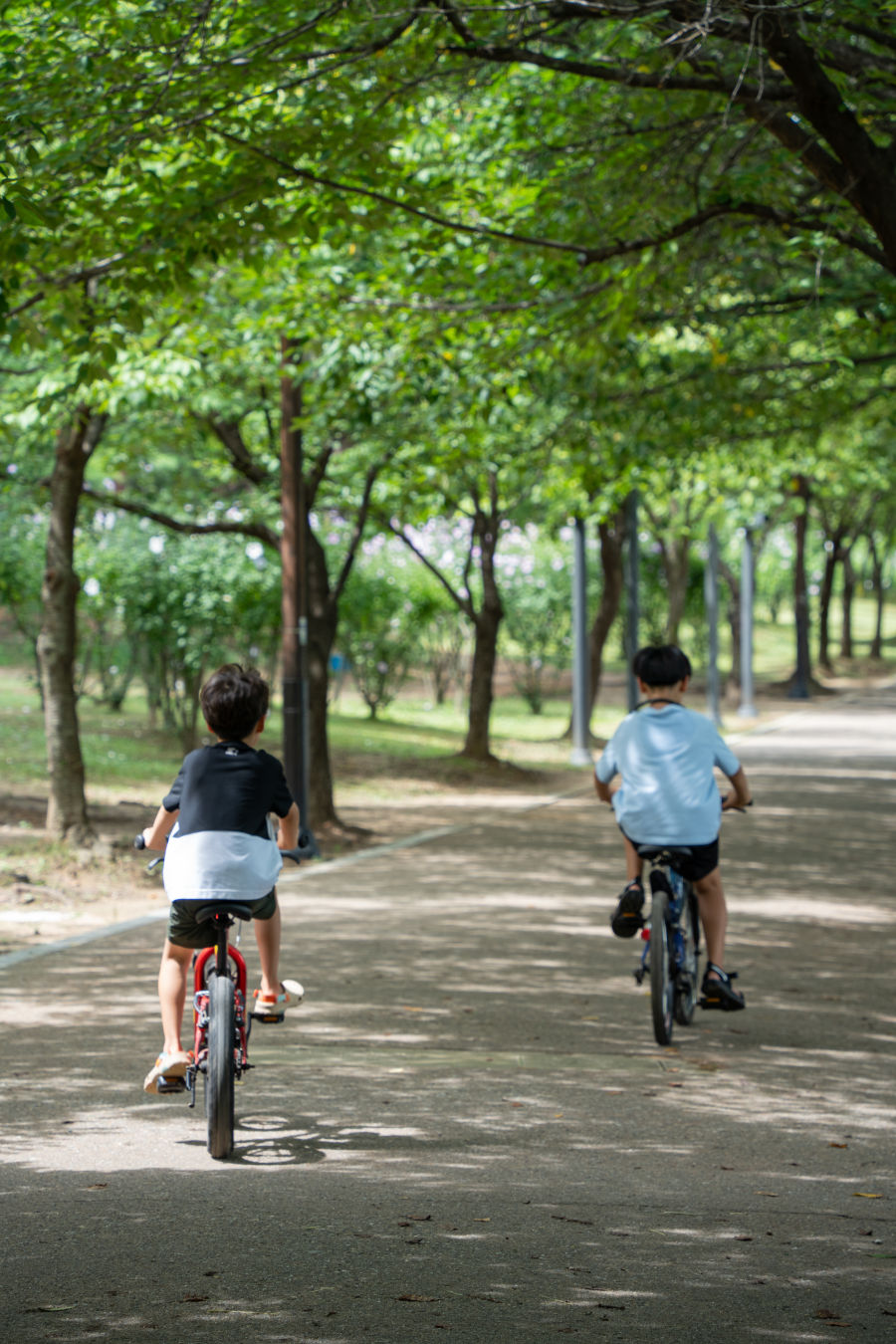 만석공원 운동기구