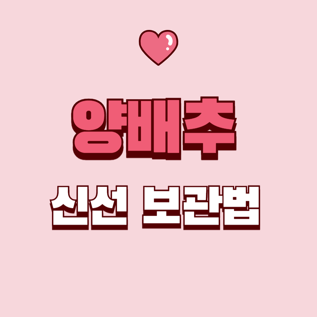 양배추 신선도 2배 높이는 초간단 보관 꿀팁