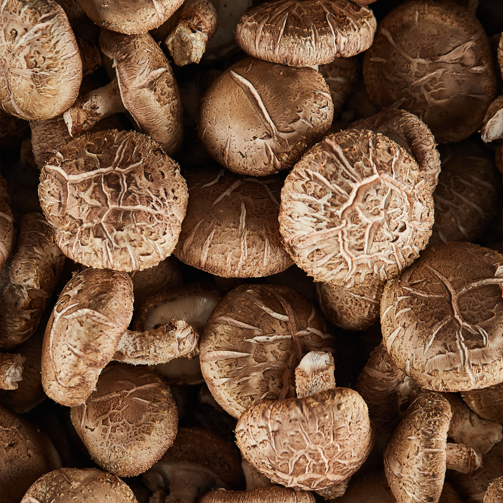 2025 청원생명축제&amp;#44; 가족 농촌체험