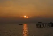 화성 궁평항