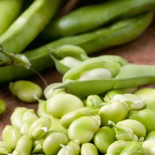 당뇨에 좋은 자이언트 파바빈 특징