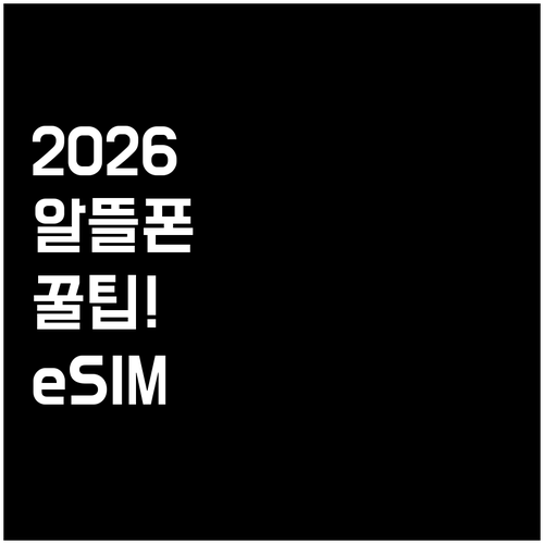 2026년 알뜰폰 eSIM 개통부터 ..