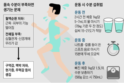 수분 섭취의 중요