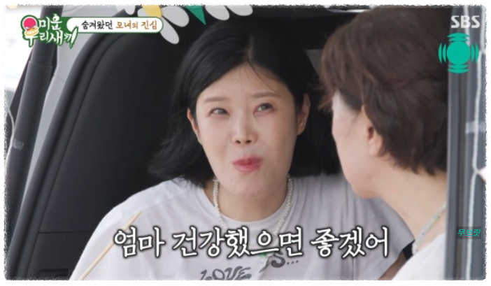 이수 린 이혼 미우새 방송