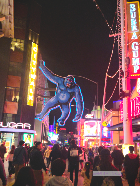 #la유니버셜 #la유니버셜스튜디오