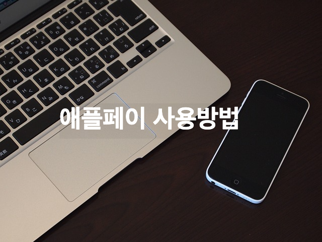 애플페이