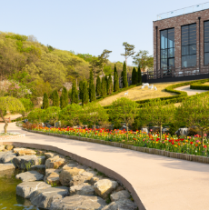 용인 자작나무숲 - 애견동반 입장료 펜션 예약