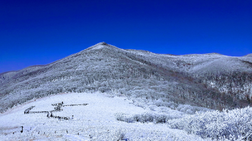 점봉산 곰배령 정상에 눈이 쌓여있는 모습