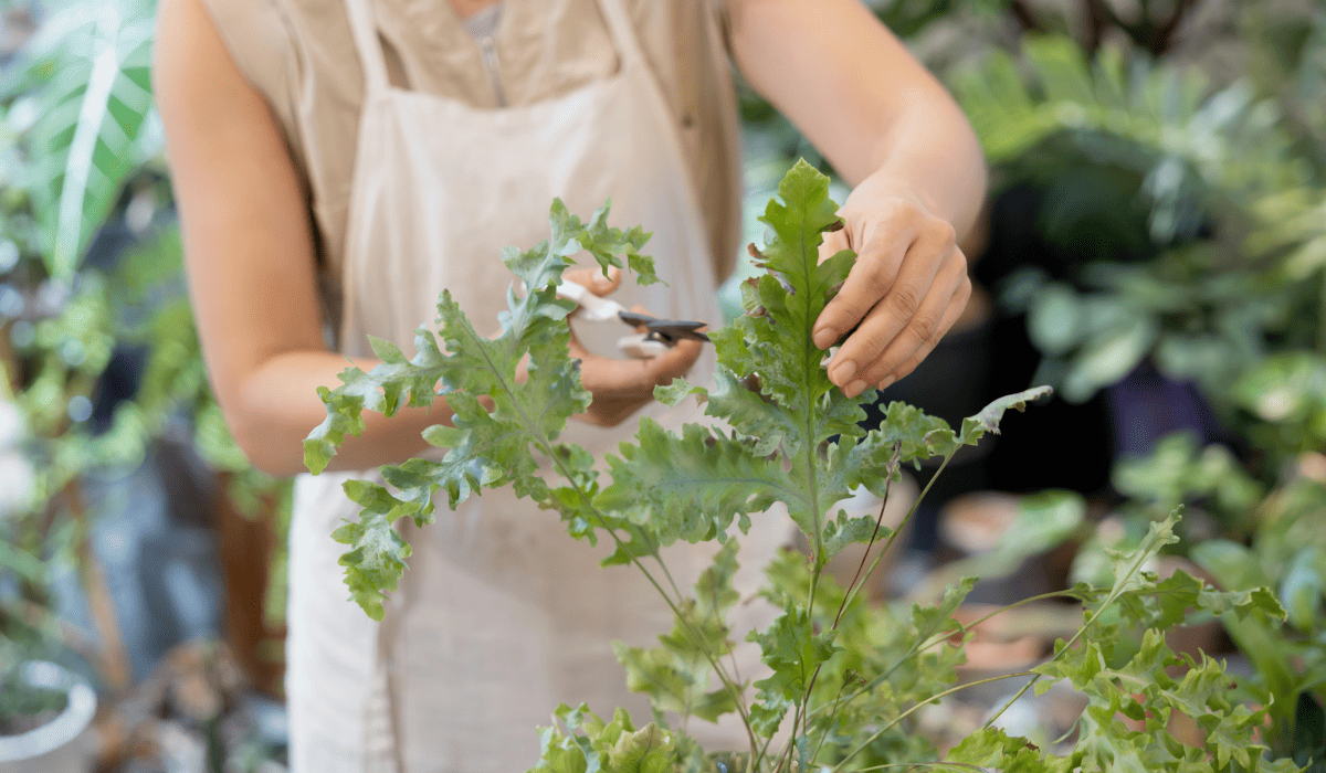 소상공인_대환대출_2