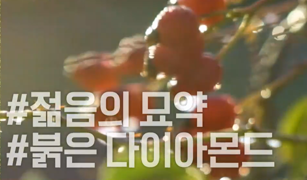로즈힙