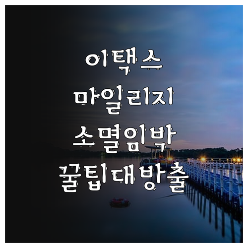 ETAX 마일리지 2025년 소멸 전..