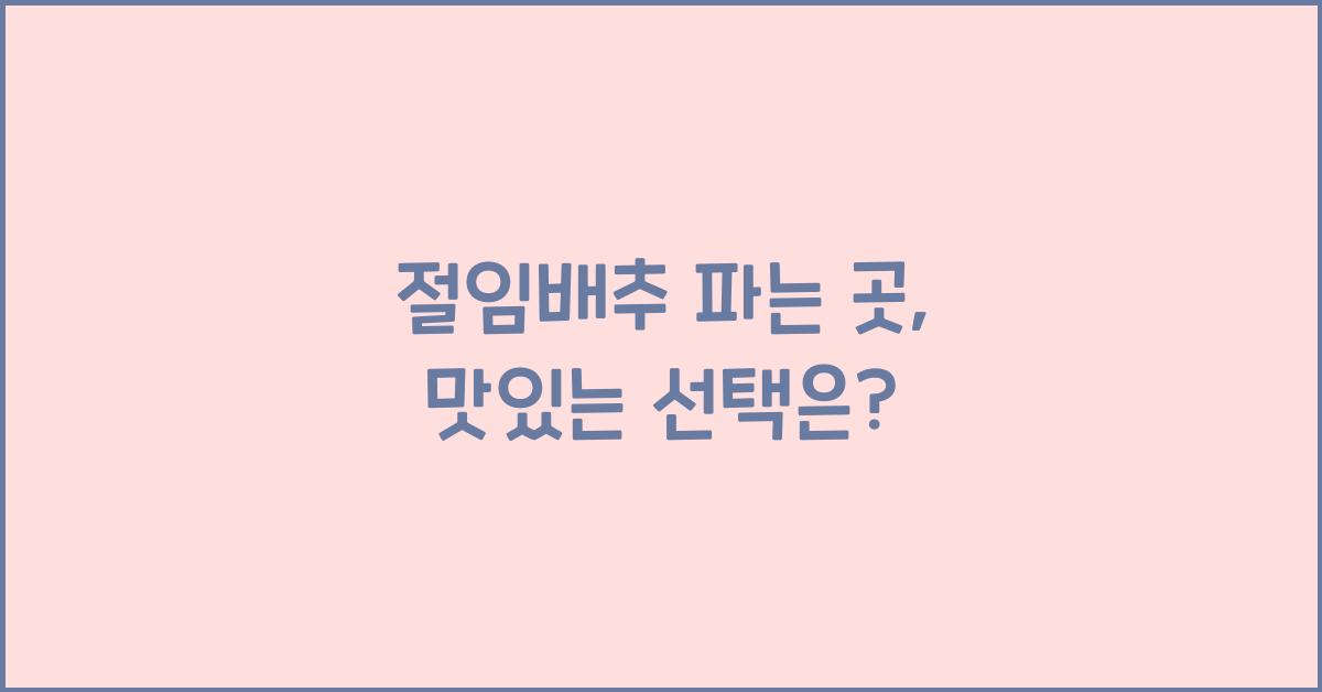 절임배추 파는 곳