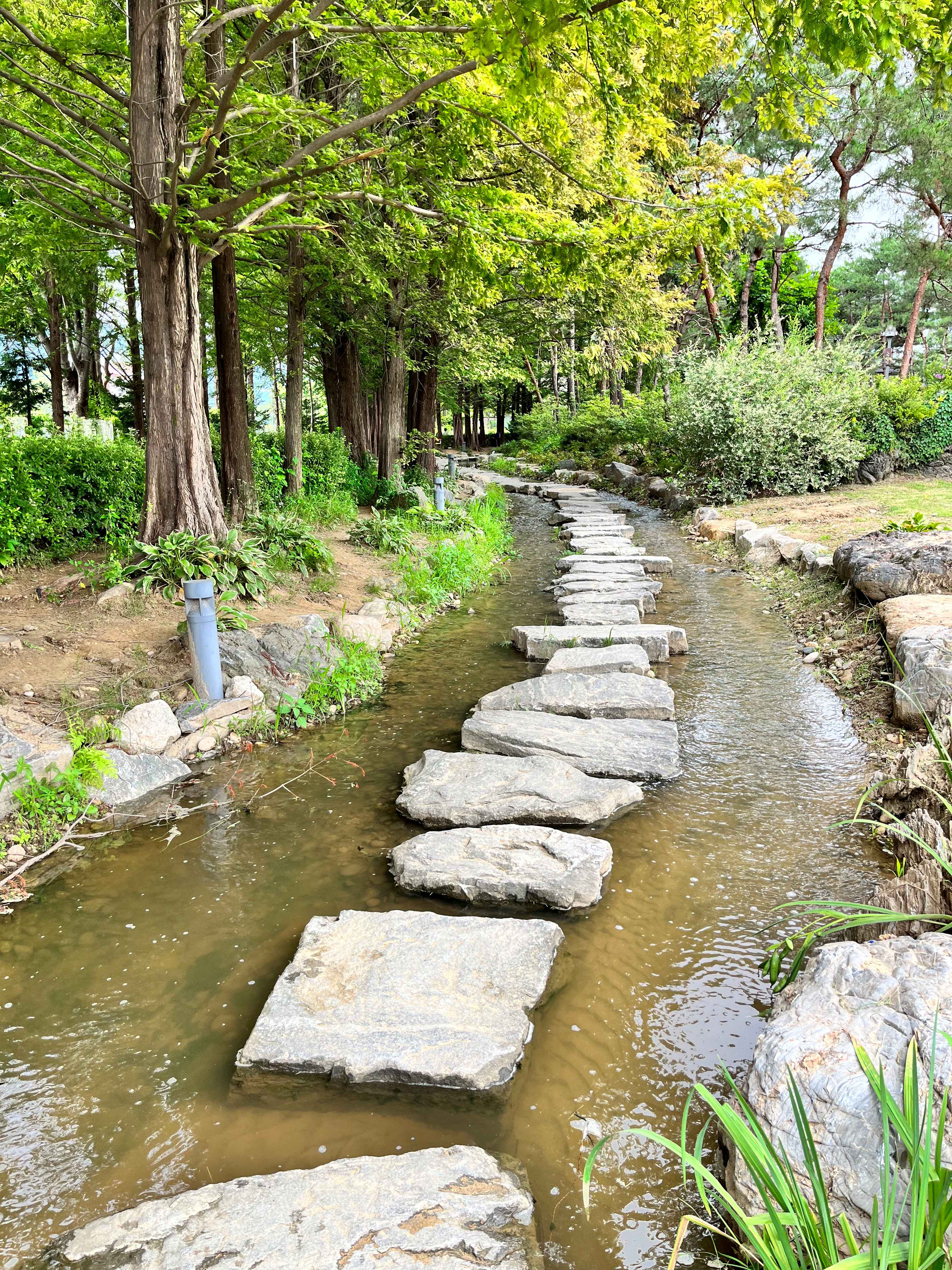 세미원 연꽃 축제