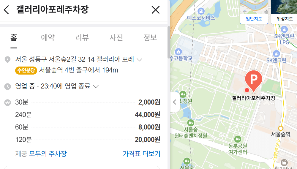 서울숲 튤립축제 vs 경기도 튤립 명소