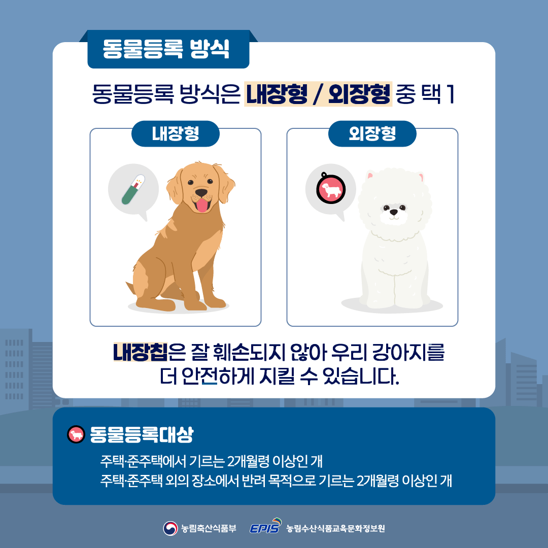 반려견 동물등록 자진신고 기간 안내