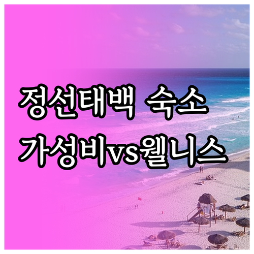 정선 태백 가성비 숙소부터 웰니스 리..