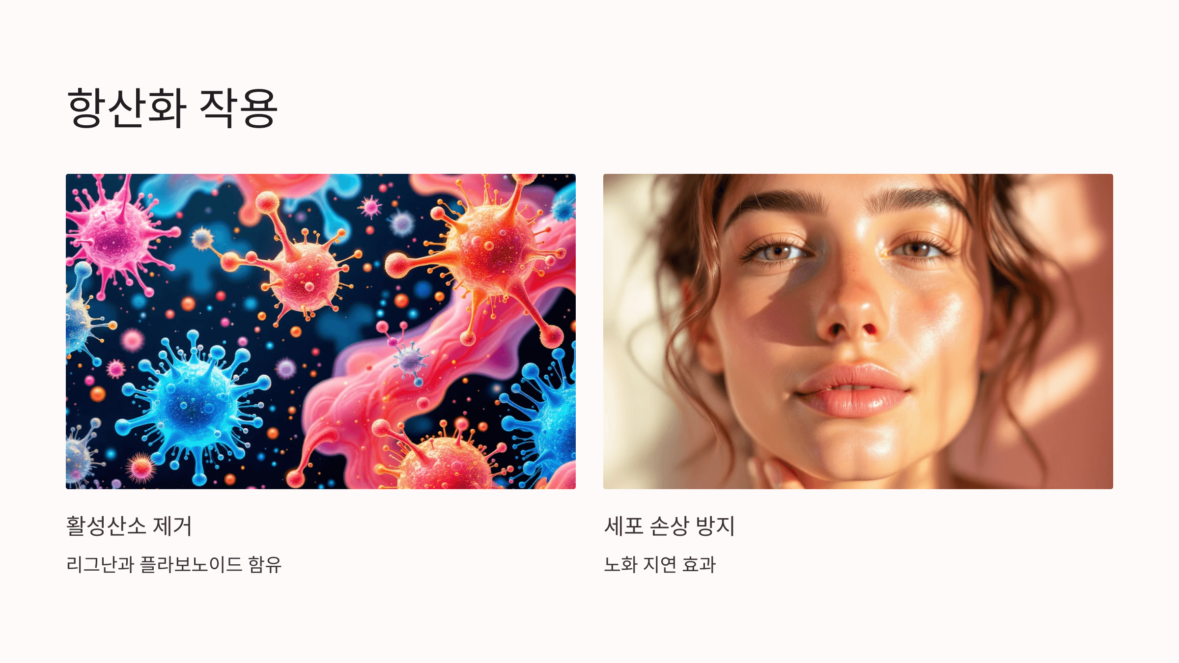 오미자 효소와 관련된 사진입니다.