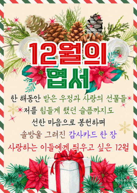 이해인 12월의 엽서 이미지, 솔방울과 포인세티아 장식 위에 12월의 엽서 문구가 담긴 겨울 감사 카드