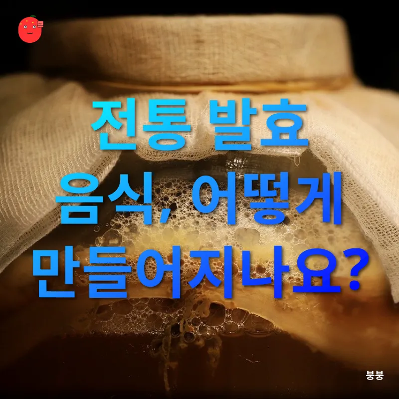 전통 발효 음식_1