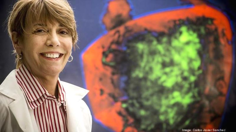 ๋ฐ์ด์ค์ดํผ๋ํฐ ํ
ํฌ๋๋ก์ง์ค ์ฃผ๊ฐ ์ ๋ง: ์ค๊ตญ ํนํ์ ํ์ ์ง๋จ ๊ธฐ์ ์ ์ฑ์ฅ ์ ์ฌ๋ ฅ