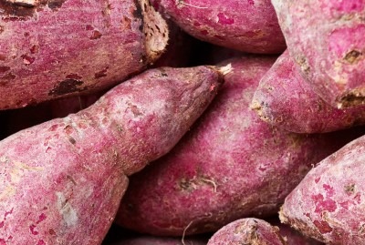 식이섬유가 많은 음식