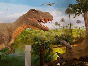 가족과함께할국내여행지