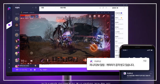 엔씨소프트 퍼플 확장