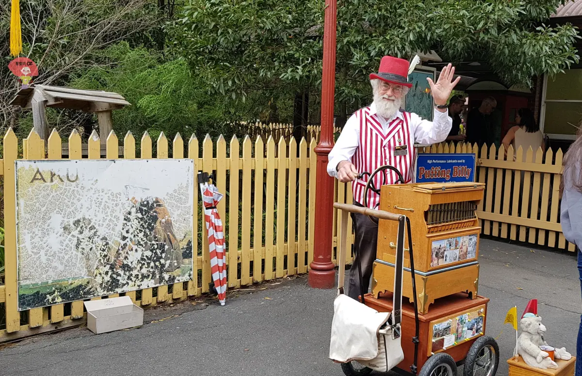 호주-멜버른-단데농-퍼핑 빌리 역에서 줄무늬 조끼와 빨간 모자를 쓴 공연자가 거리 오르간을 연주하며 손을 흔들고 있는 모습