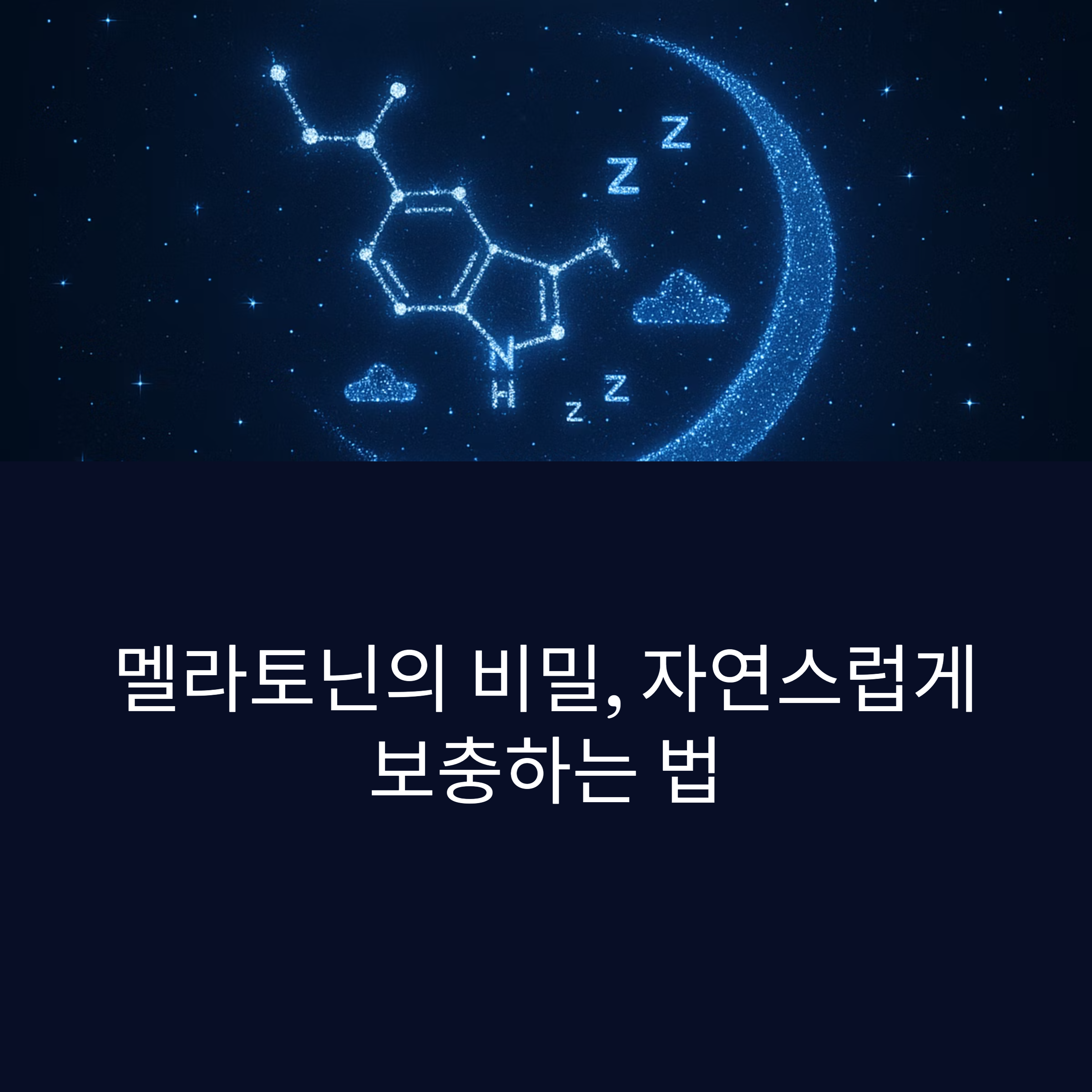 멜라토닌의 역할