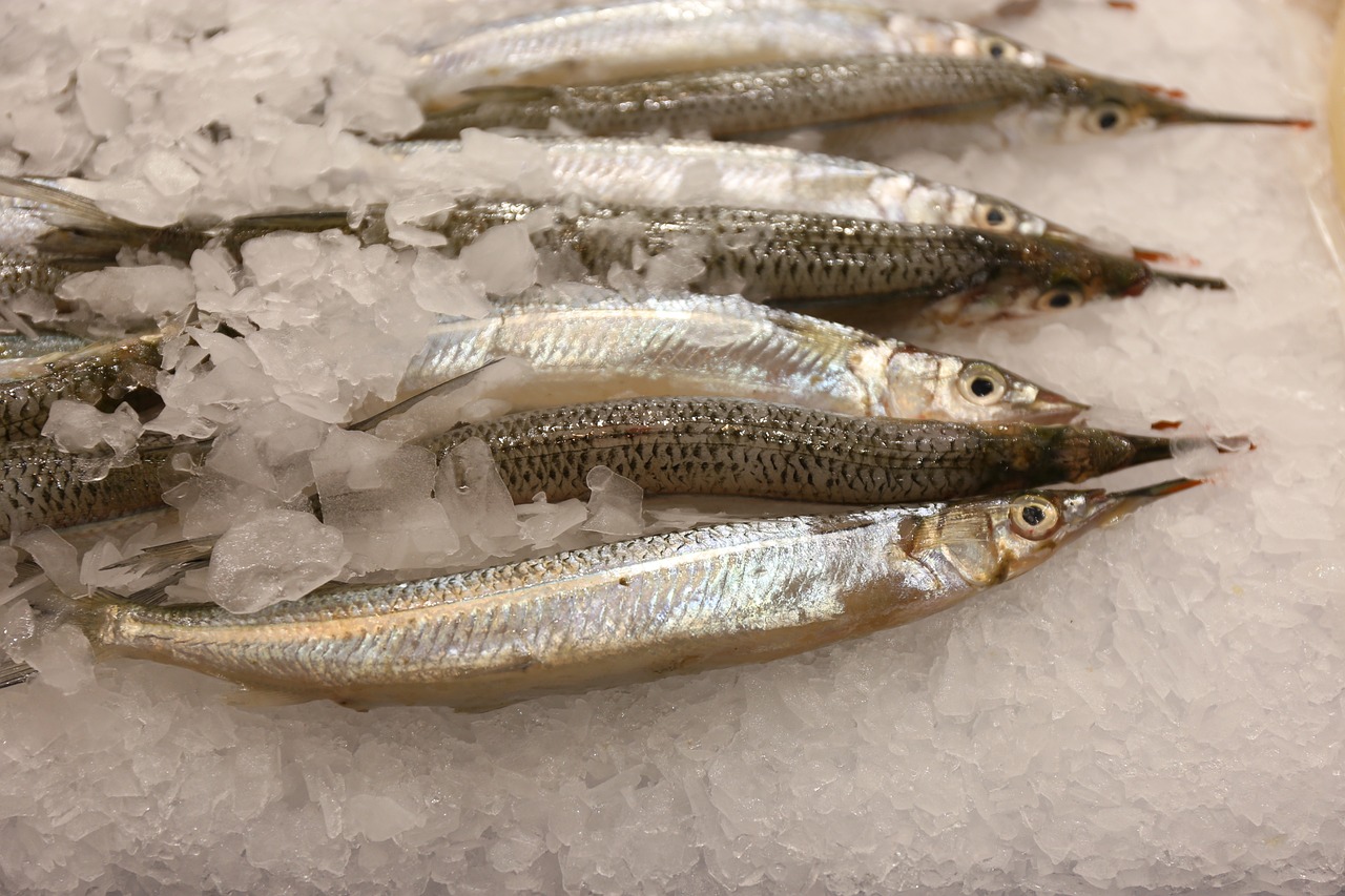 신장에 좋은 음식 10가지