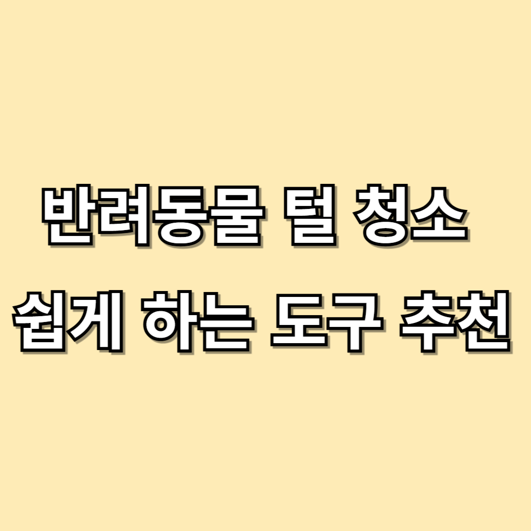 반려동물 털 청소 쉽게 하는 도구 추천 털 스트레스 줄이기