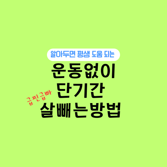 운동없이 단기간 살빼는방법 쉽게 살빼는방법 급찐급빠 다이어트