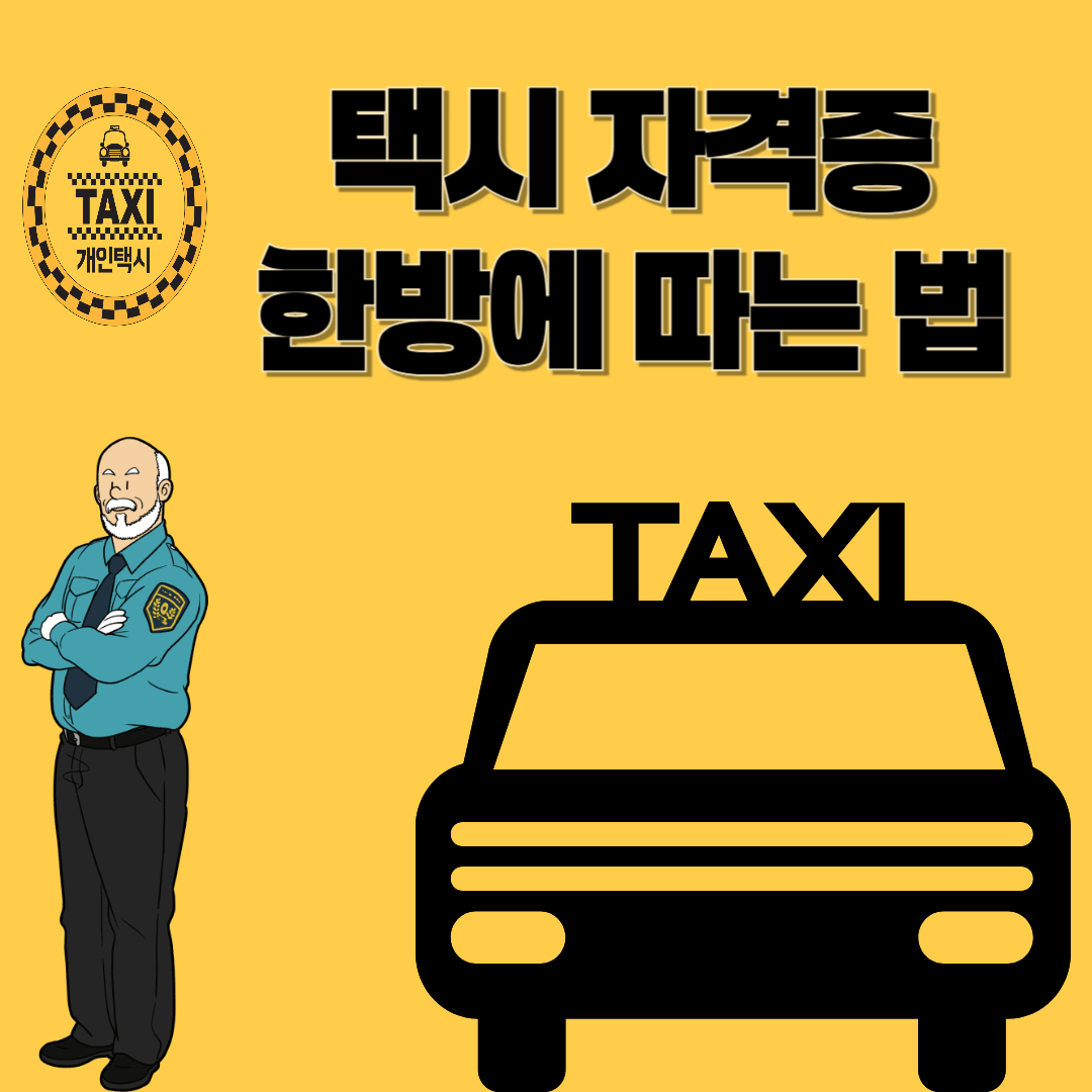 택시 자격증 한방에 따는 법|응시조건, 시험과목, 준비팁 총정리!