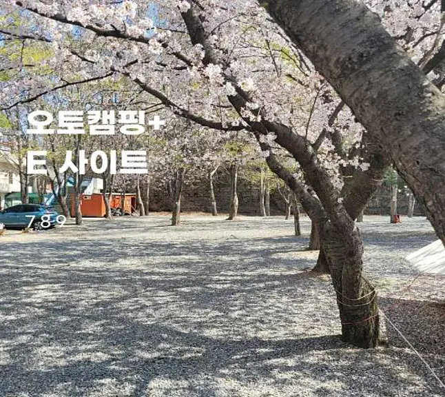 드림랜드오토캠핑장